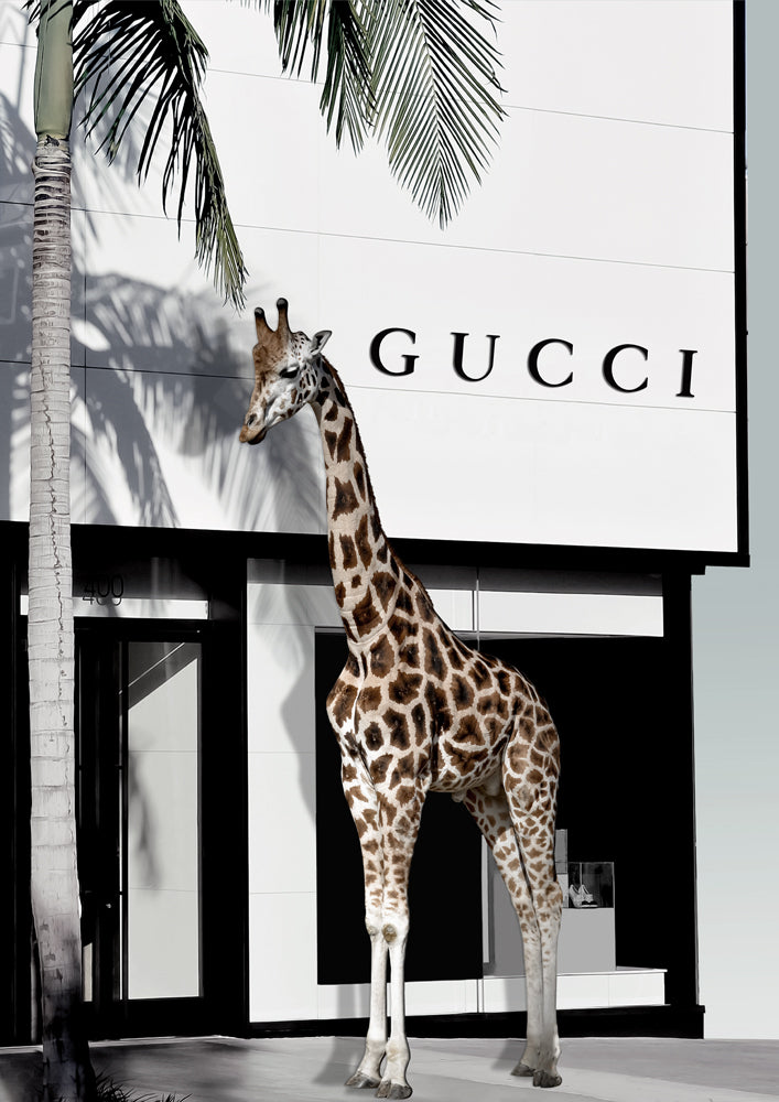 Giraffe standing in front of a fashion store with palm trees in the background