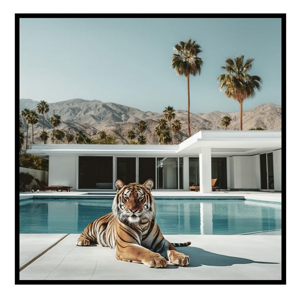 Chino Tiger Wall Art Tiger at the edge of a pool Wall Art