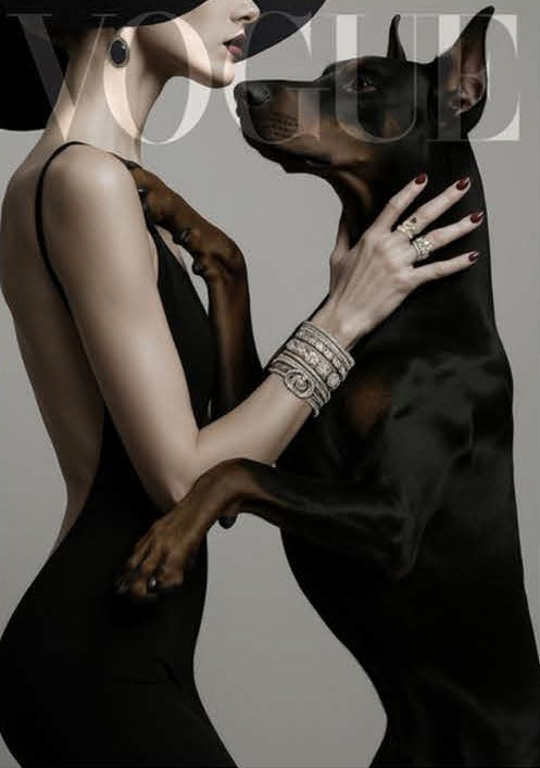 Vogue and Velvet Wall Art