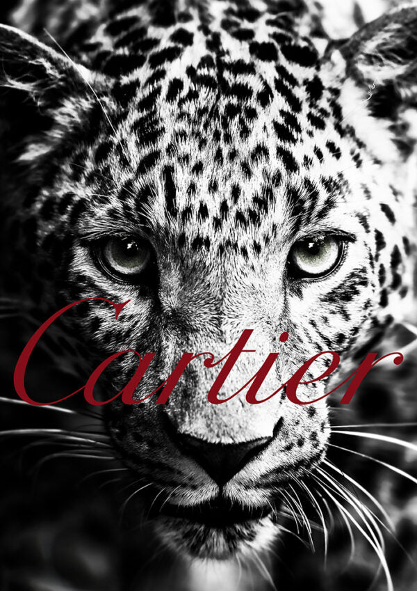 Cartier Fashion Wall Art | Animal Prints