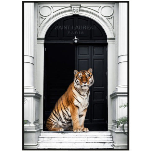 Tiger Fashion Wall Art | Animal Prints